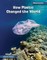How Plastic Changed the World