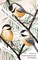 What the Chickadee Knows