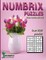 Numbrix Puzzles