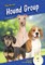 Hound Group