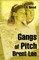 Gangs of Pitch