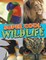 Super Cool Wildlife