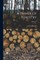 A Primer Of Forestry; Volume 1