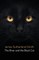 The River and the Black Cat