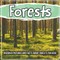 Forests