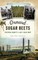 Oxnard Sugar Beets