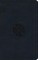 ESV Large Print Value Thinline Bible (Trutone, Navy, Mosaic Cross Design)