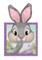 Disney Bunnies All Ears