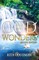God of Wonders