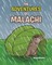 The Adventures of Malachi
