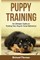 Puppy Training