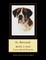 St. Bernard