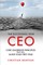 The Successful New CEO