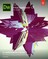 Adobe Dreamweaver CC Classroom in a Book (2018 release)