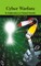 Cyber Warfare