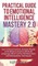 Practical Guide to Emotional Intelligence Mastery 2.0