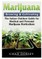 Marijuana Growing & Cultivating