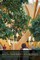 Healthy Environments, Healing Spaces