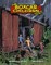 Book 1: Boxcar Children