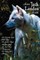 Seven Jack London Novels (Complete and Unabridged) Including