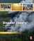 Disaster Theory
