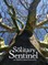 The Solitary Sentinel