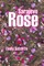 Sarajevo Rose
