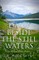 Daily Beside The Still Waters