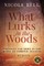 What Lurks in the Woods