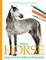 Isolated Horse Images for Artist's Reference and Inspiration