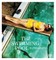 The Swimming Pool in Photography