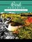 Bird Paradise Volume 2