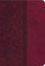 Study Bible-KJV