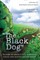 The Black Dog