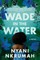 Wade in the Water