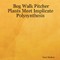 Bog Walk Pitcher Plants Meet Implicate Polysynthesis