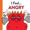 I Feel... Angry
