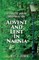 Advent and Lent in Narnia