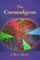The Curmudgeon