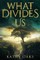 What Divides Us