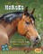 All about Horses