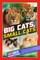 Time for Kids: Big Cats, Small Cats