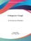 Pythagorean Triangle