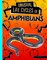 Unusual Life Cycles of Amphibians