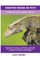Crested Gecko as Pets