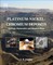 Platinum-Nickel-Chromium Deposits