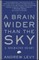 A Brain Wider Than the Sky