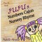 Juju''s Numbers Cajun Nursery Rhyme