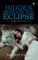 Hidden Beneath The Eclipse