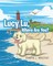 Lucy Lu, Where Are You?